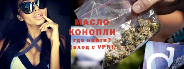 хмурый Вяземский
