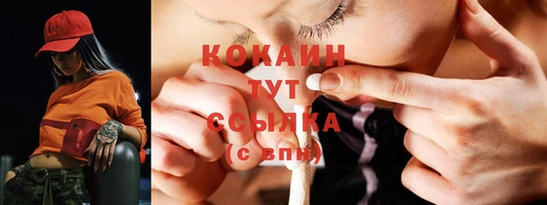 сатива Волоколамск