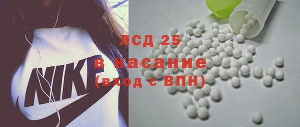 хмурый Вяземский