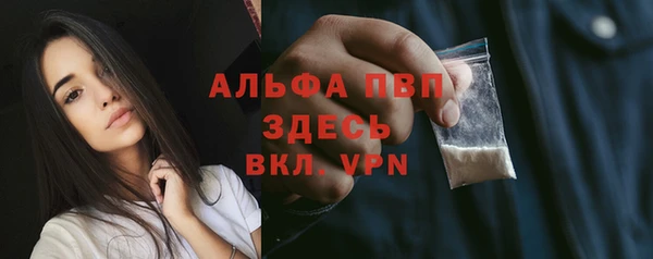 хмурый Вяземский
