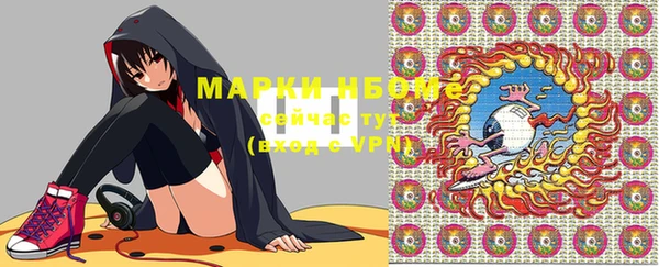 хмурый Вяземский