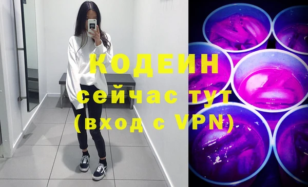 хмурый Вяземский
