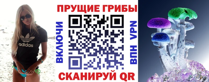 Псилоцибиновые грибы прущие грибы  Купить закладки  Малгобек 